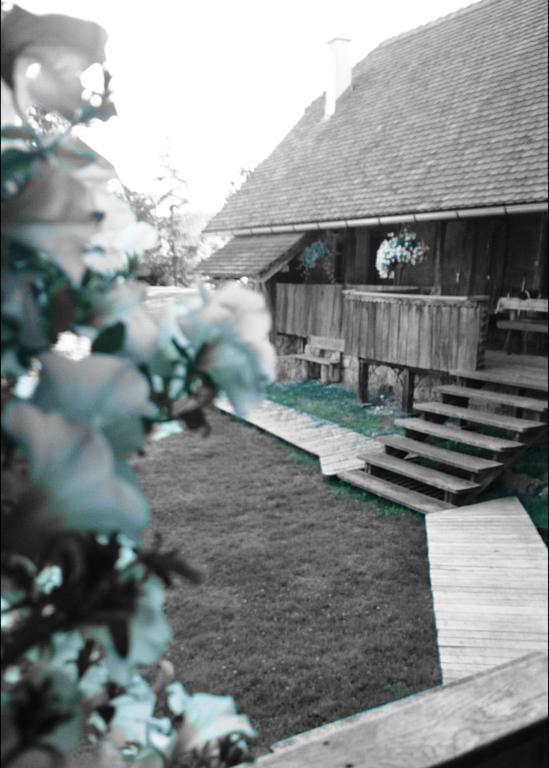 Rustic Home Mia ドゥガ・レサ 部屋 写真