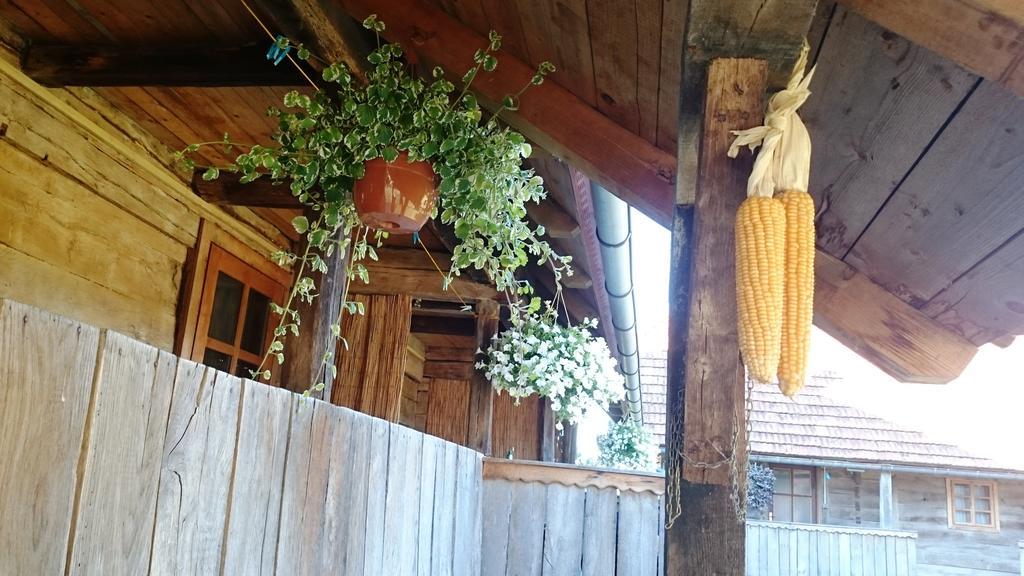 Rustic Home Mia ドゥガ・レサ 部屋 写真