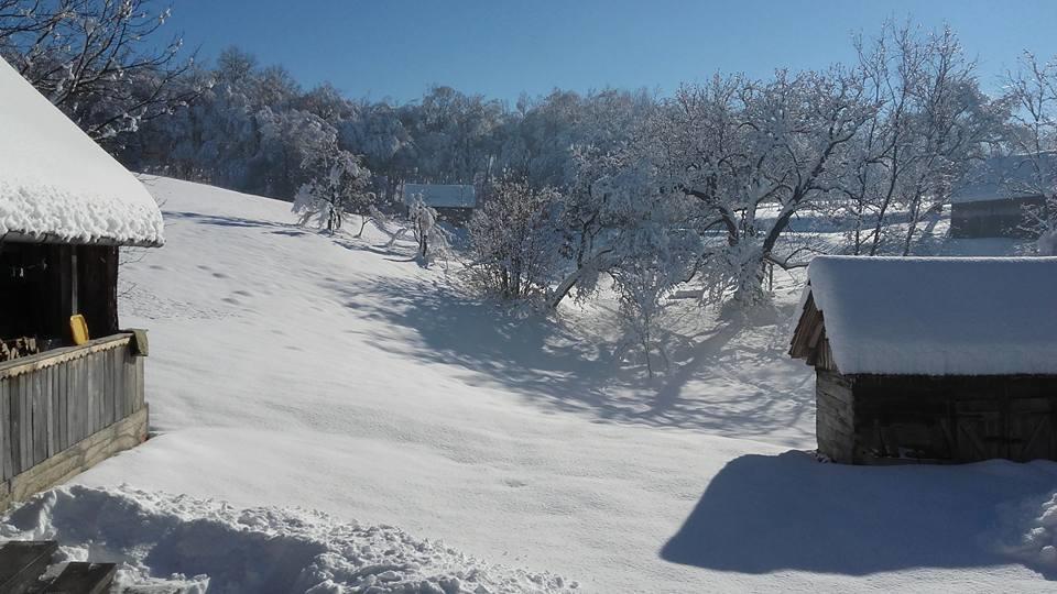 Rustic Home Mia ドゥガ・レサ エクステリア 写真