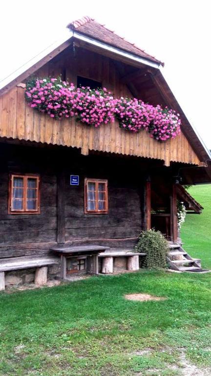 Rustic Home Mia ドゥガ・レサ エクステリア 写真